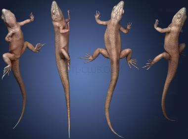 3D model lizard01 (STL)